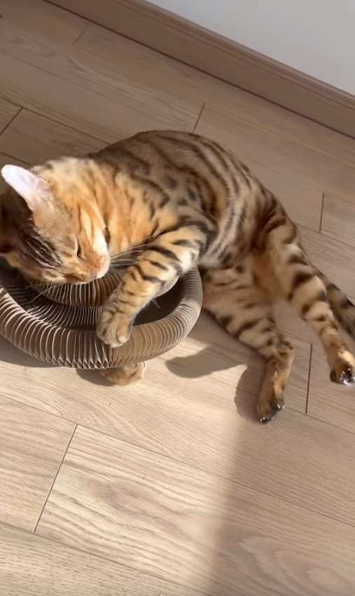 ⚡ 長持ち